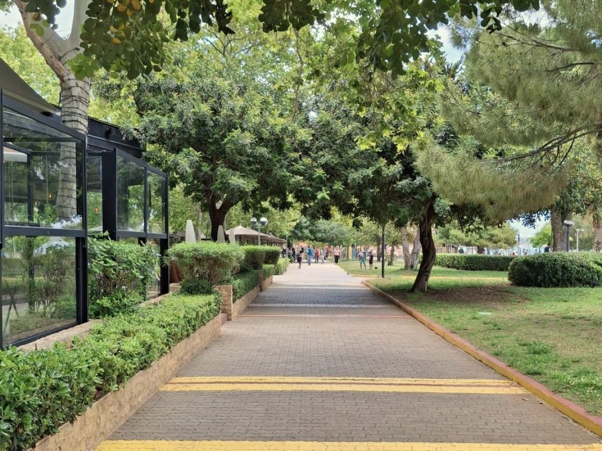 Tree-lined promenade near the Athens Riviera with greenery and relaxed coastal atmosphere