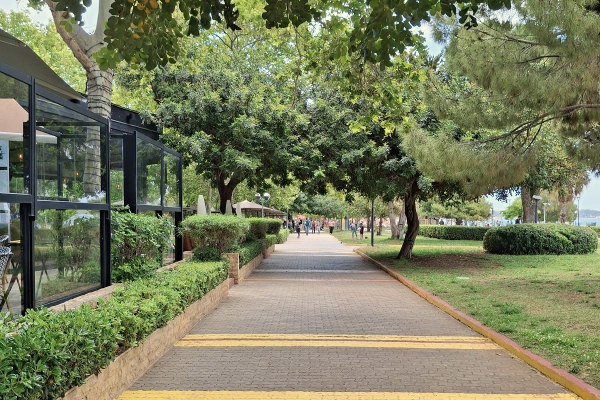 Tree-lined promenade near the Athens Riviera with greenery and relaxed coastal atmosphere