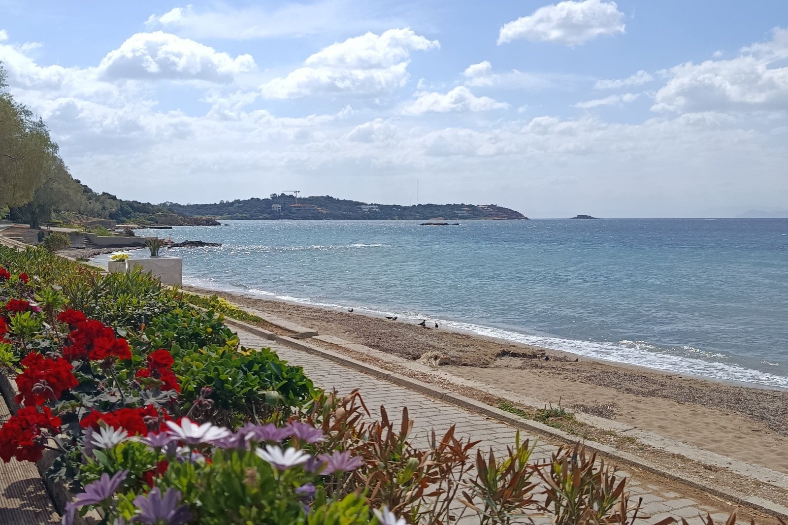 Athens Riviera coastline with flowers and summer sea views
